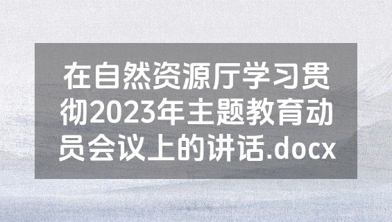 在自然资源厅学习贯彻2023年主题教育动员会议上的讲话.docx