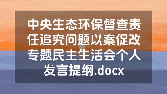 中央生态环保督查责任追究问题以案促改专题民主生活会个人发言提纲.docx