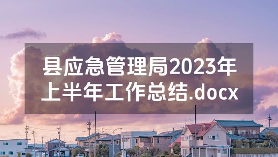 县应急管理局2023年上半年工作总结.docx