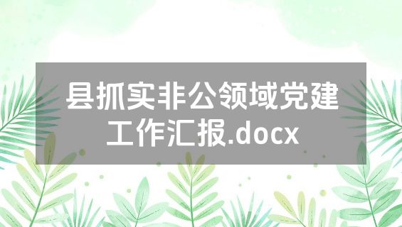 县抓实非公领域党建工作汇报.docx