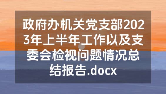 政府办机关党支部2023年上半年工作以及支委会检视问题情况总结报告.docx