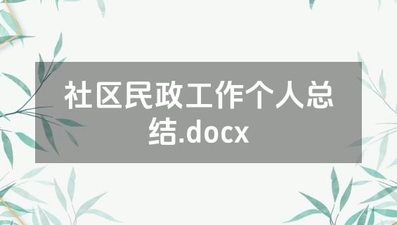 社区民政工作个人总结.docx