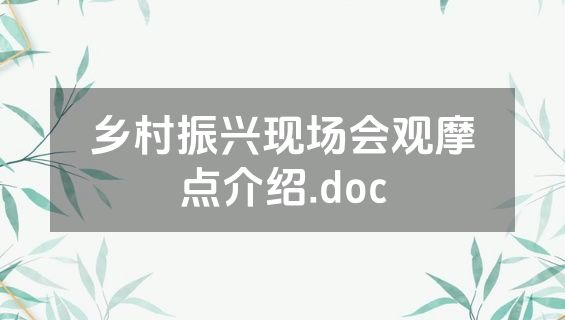 乡村振兴现场会观摩点介绍.doc