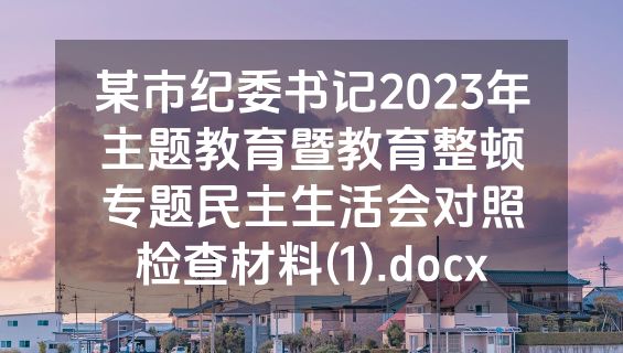 某市纪委书记2023年主题教育暨教育整顿专题民主生活会对照检查材料(1).docx