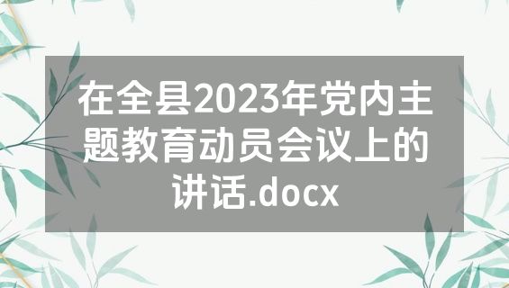 在全县2023年党内主题教育动员会议上的讲话.docx