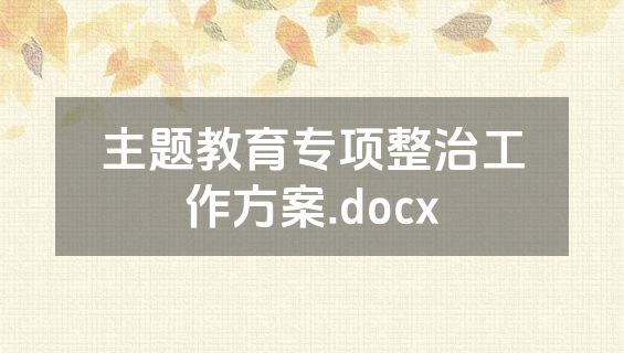 主题教育专项整治工作方案.docx