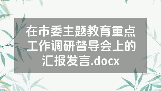在市委主题教育重点工作调研督导会上的汇报发言.docx