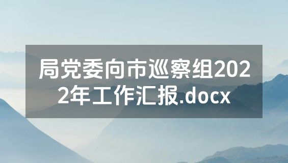 局党委向市巡察组2022年工作汇报.docx