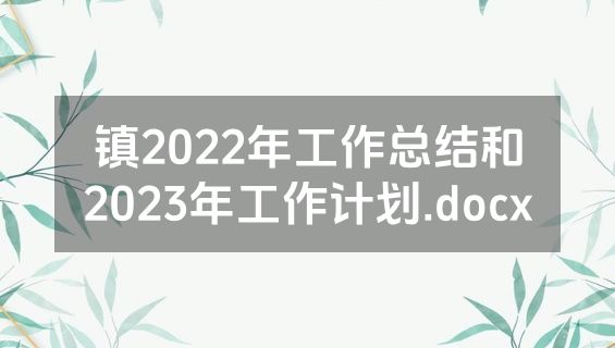 镇2022年工作总结和2023年工作计划.docx