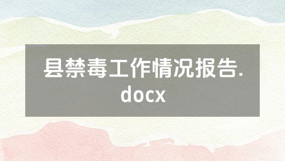 县禁毒工作情况报告.docx