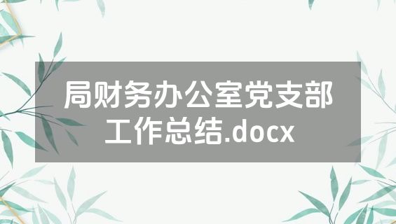 局财务办公室党支部工作总结.docx