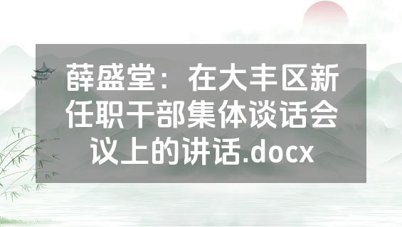 薛盛堂：在大丰区新任职干部集体谈话会议上的讲话.docx