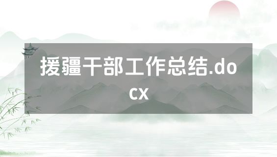 援疆干部工作总结.docx
