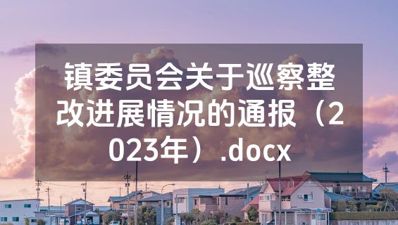 镇委员会关于巡察整改进展情况的通报（2023年）.docx