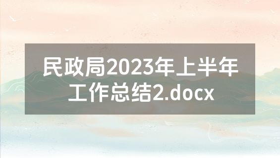 民政局2023年上半年工作总结2.docx