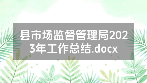 县市场监督管理局2023年工作总结.docx