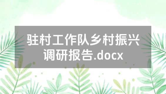 驻村工作队乡村振兴调研报告.docx