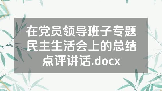 在党员领导班子专题民主生活会上的总结点评讲话.docx