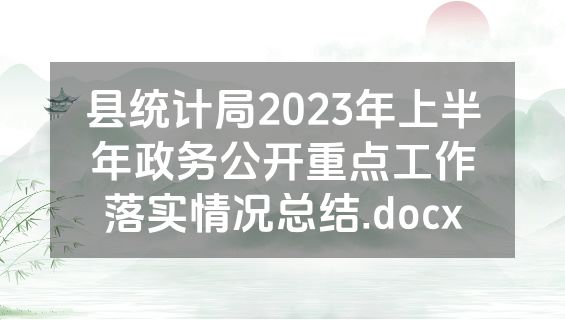 县统计局2023年上半年政务公开重点工作落实情况总结.docx