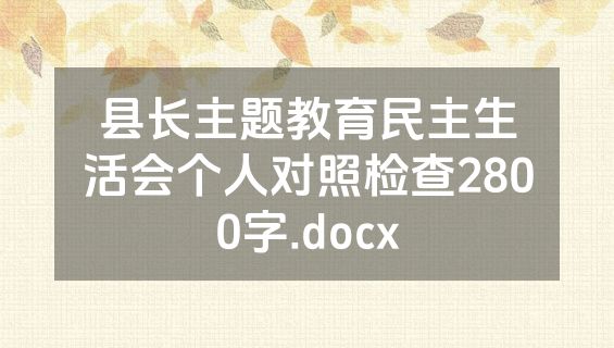 县长主题教育民主生活会个人对照检查2800字.docx