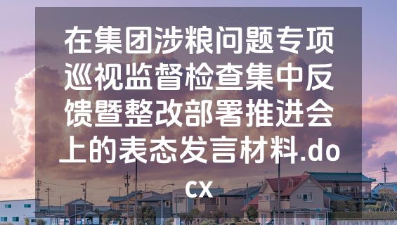 在集团涉粮问题专项巡视监督检查集中反馈暨整改部署推进会上的表态发言材料.docx