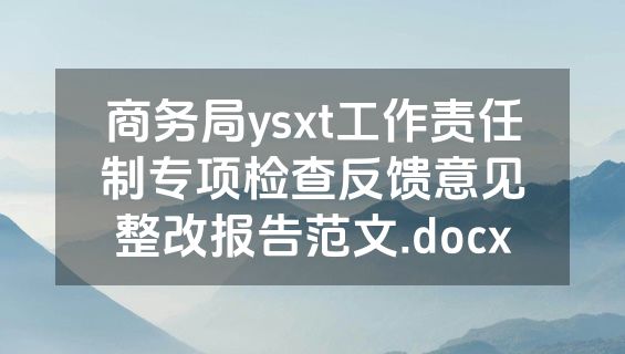 商务局ysxt工作责任制专项检查反馈意见整改报告范文.docx
