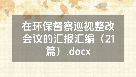 在环保督察巡视整改会议的汇报汇编（21篇）.docx