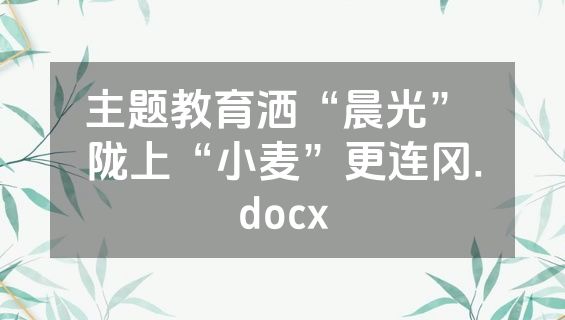 主题教育洒“晨光” 陇上“小麦”更连冈.docx