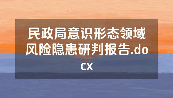 民政局意识形态领域风险隐患研判报告.docx