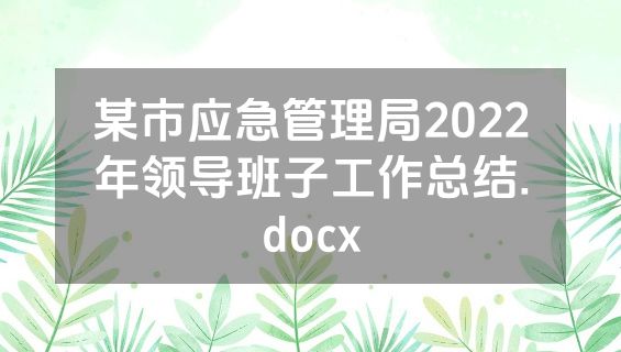 某市应急管理局2022年领导班子工作总结.docx