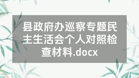 县政府办巡察专题民主生活会个人对照检查材料.docx