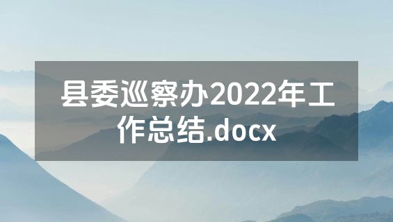 县委巡察办2022年工作总结.docx
