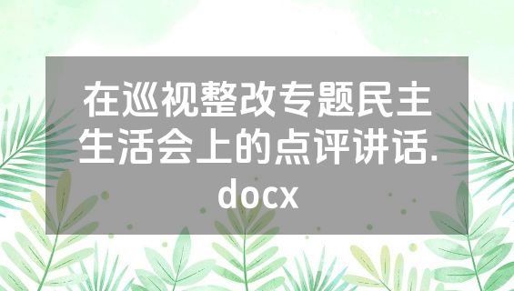在巡视整改专题民主生活会上的点评讲话.docx