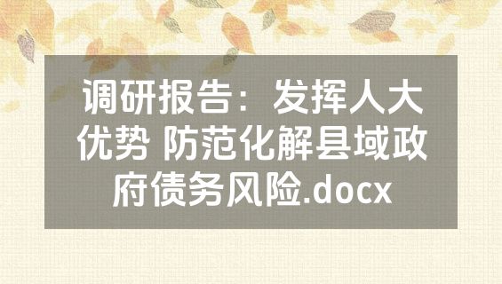 调研报告：发挥人大优势 防范化解县域政府债务风险.docx