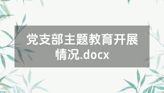 党支部主题教育开展情况.docx
