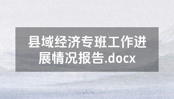 县域经济专班工作进展情况报告.docx