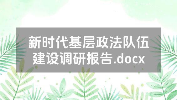 新时代基层政法队伍建设调研报告.docx