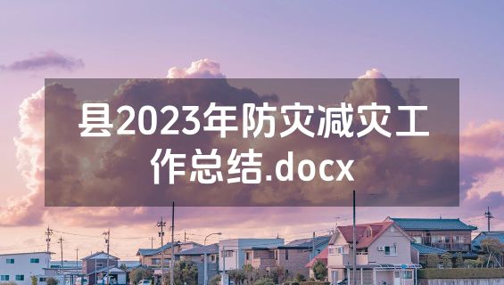县2023年防灾减灾工作总结.docx