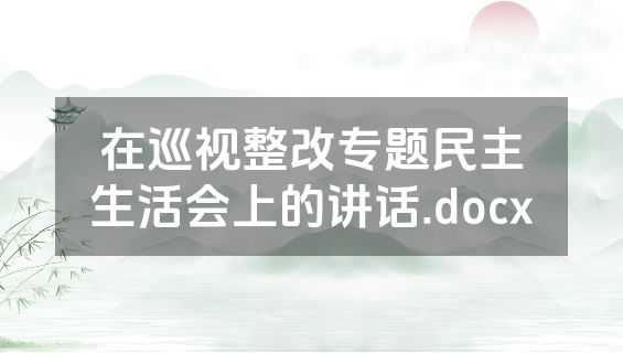 在巡视整改专题民主生活会上的讲话.docx