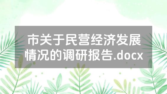 市关于民营经济发展情况的调研报告.docx