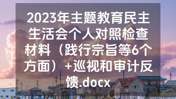 2023年主题教育民主生活会个人对照检查材料（践行宗旨等6个方面）+巡视和审计反馈.docx