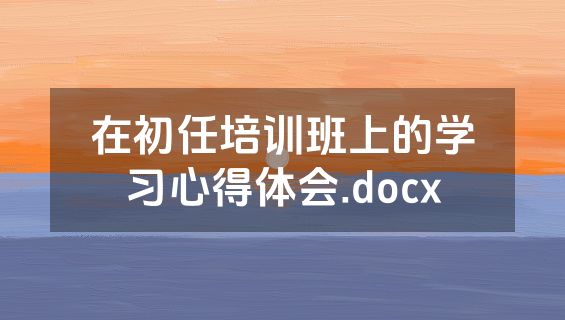 在初任培训班上的学习心得体会.docx