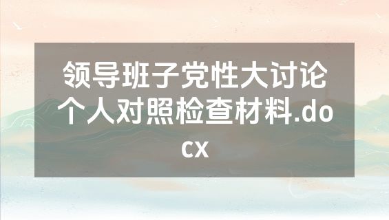 领导班子党性大讨论个人对照检查材料.docx