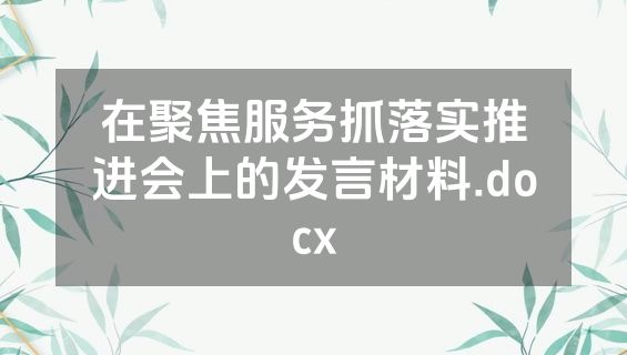 在聚焦服务抓落实推进会上的发言材料.docx