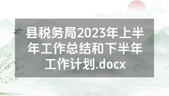 县税务局2023年上半年工作总结和下半年工作计划.docx