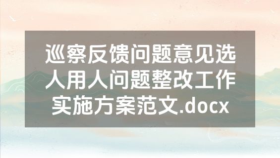 巡察反馈问题意见选人用人问题整改工作实施方案范文.docx