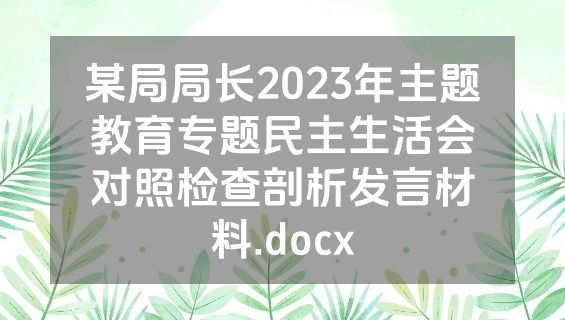 某局局长2023年主题教育专题民主生活会对照检查剖析发言材料.docx