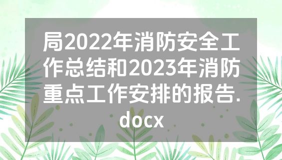 局2022年消防安全工作总结和2023年消防重点工作安排的报告.docx