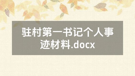 驻村第一书记个人事迹材料.docx