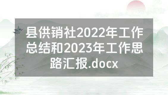 县供销社2022年工作总结和2023年工作思路汇报.docx